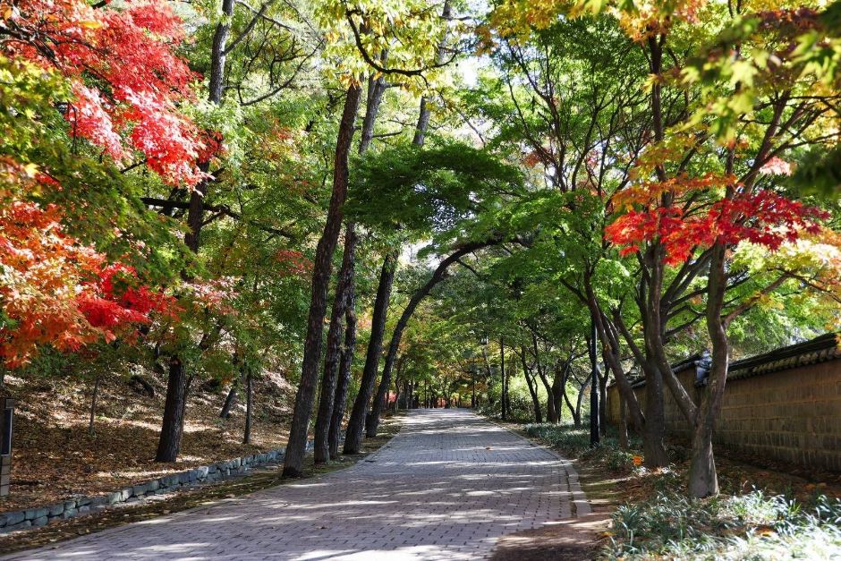 부소산 여행 추천 - 메고지고 부소산 여행 추천 - 메고지고