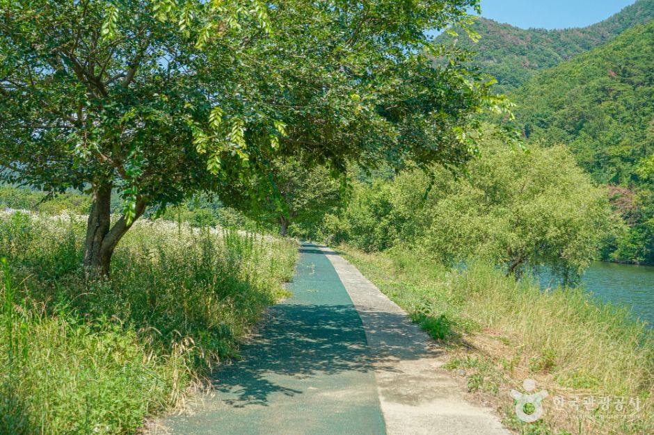 용두연유원지 여행 추천 - 메고지고 용두연유원지 여행 추천 - 메고지고
