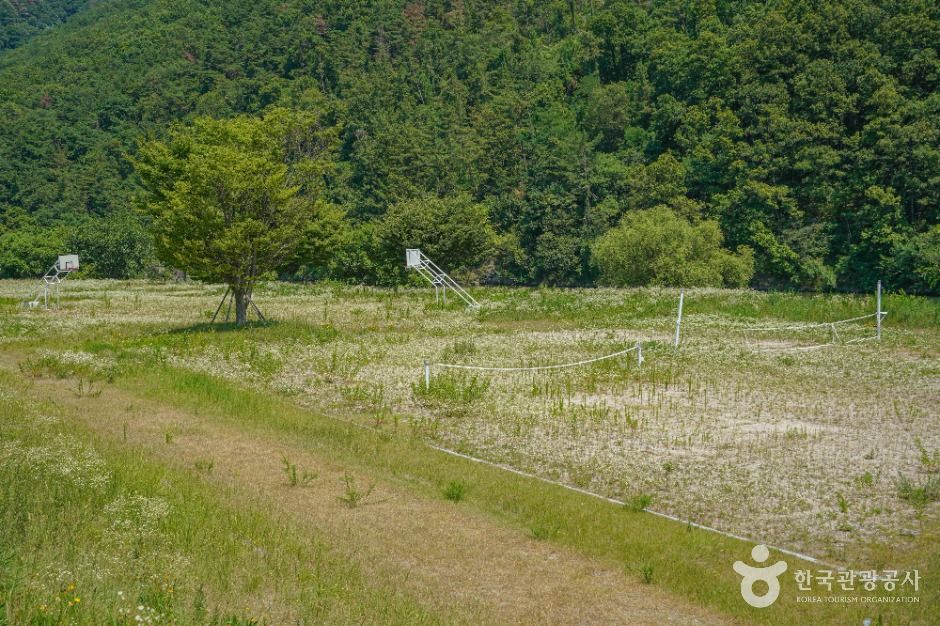 용두연유원지 여행 추천 - 메고지고 용두연유원지 여행 추천 - 메고지고
