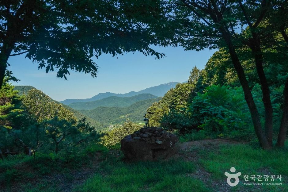 대둔사(칠곡) 여행 추천 - 메고지고 대둔사(칠곡) 여행 추천 - 메고지고