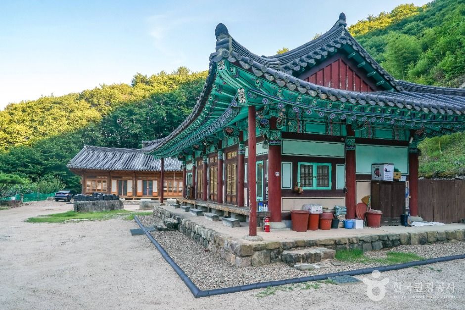 대둔사(칠곡) 여행 추천 - 메고지고 대둔사(칠곡) 여행 추천 - 메고지고