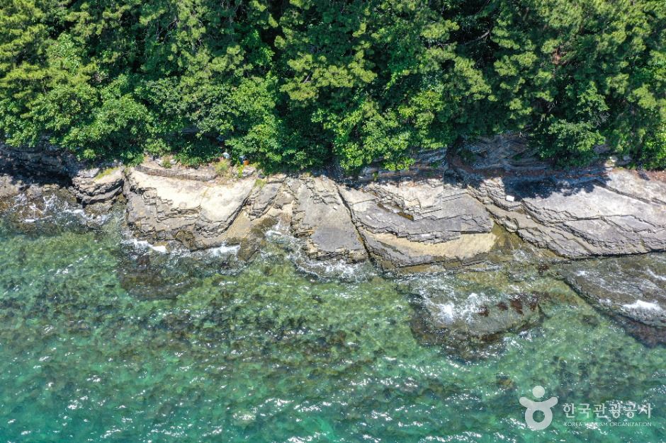 동해면 작은 구학포 공룡 화석지 여행 추천 - 메고지고 동해면 작은 구학포 공룡 화석지 여행 추천 - 메고지고