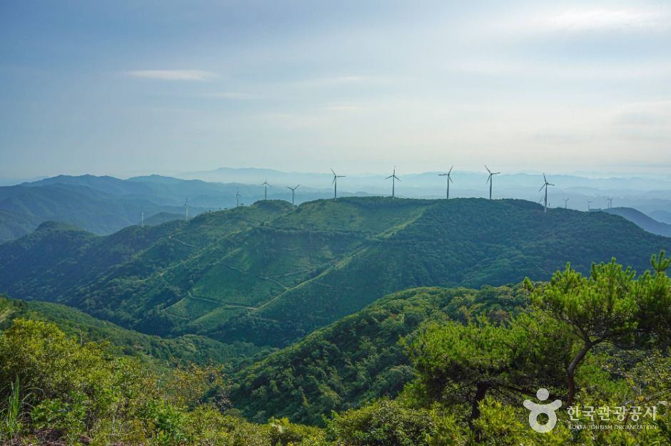 한우산 드라이브코스 여행 추천 - 메고지고 한우산 드라이브코스 여행 추천 - 메고지고