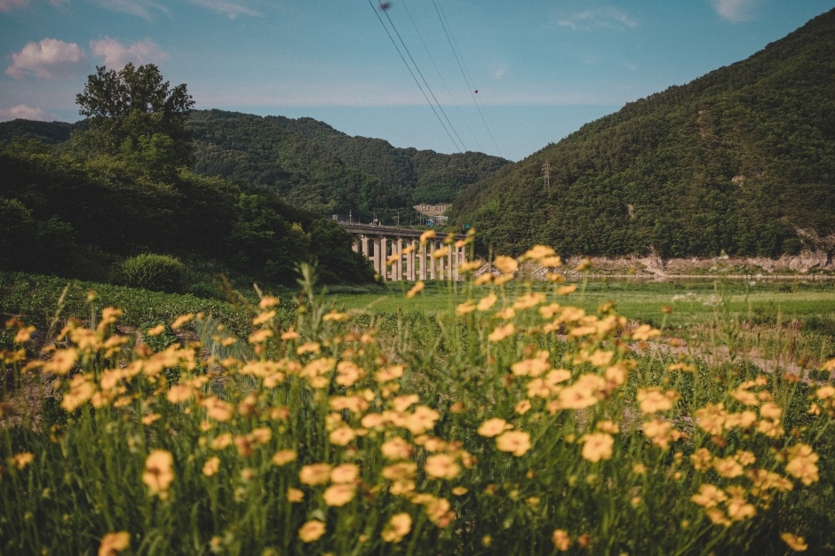 소양강둘레길 여행 추천 - 메고지고 소양강둘레길 여행 추천 - 메고지고