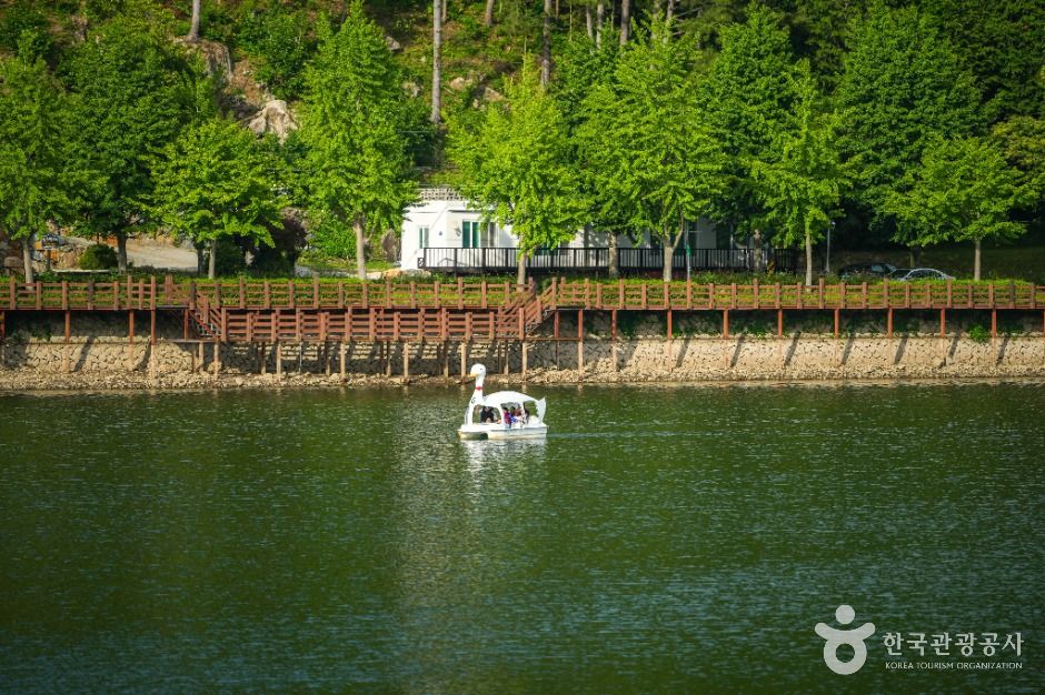 동부저수지 여행 추천 - 메고지고 동부저수지 여행 추천 - 메고지고
