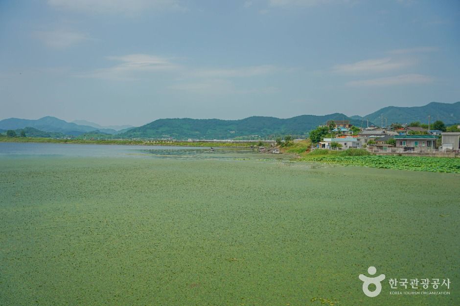 초동저수지 여행 추천 - 메고지고 초동저수지 여행 추천 - 메고지고