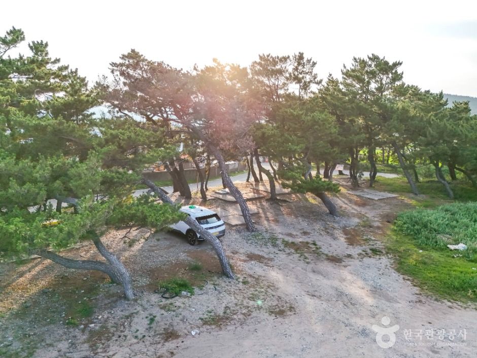 조사리간이해수욕장 여행 추천 - 메고지고 조사리간이해수욕장 여행 추천 - 메고지고