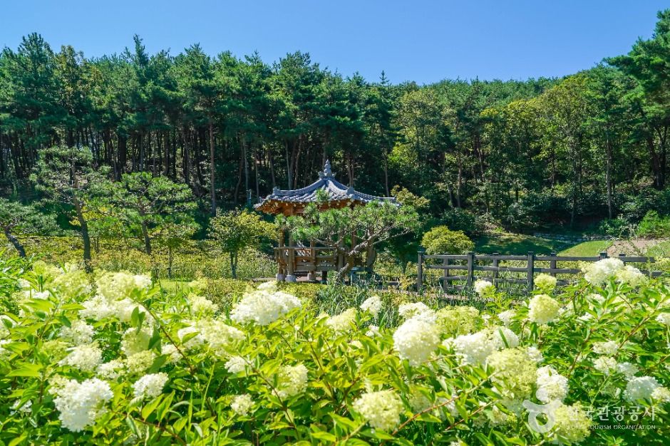 운제산산림욕장 여행 추천 - 메고지고 운제산산림욕장 여행 추천 - 메고지고