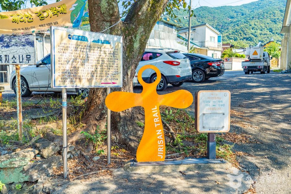 악양대봉감 정보화마을 여행 추천 - 메고지고 악양대봉감 정보화마을 여행 추천 - 메고지고