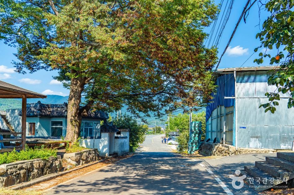 악양대봉감 정보화마을 여행 추천 - 메고지고 악양대봉감 정보화마을 여행 추천 - 메고지고