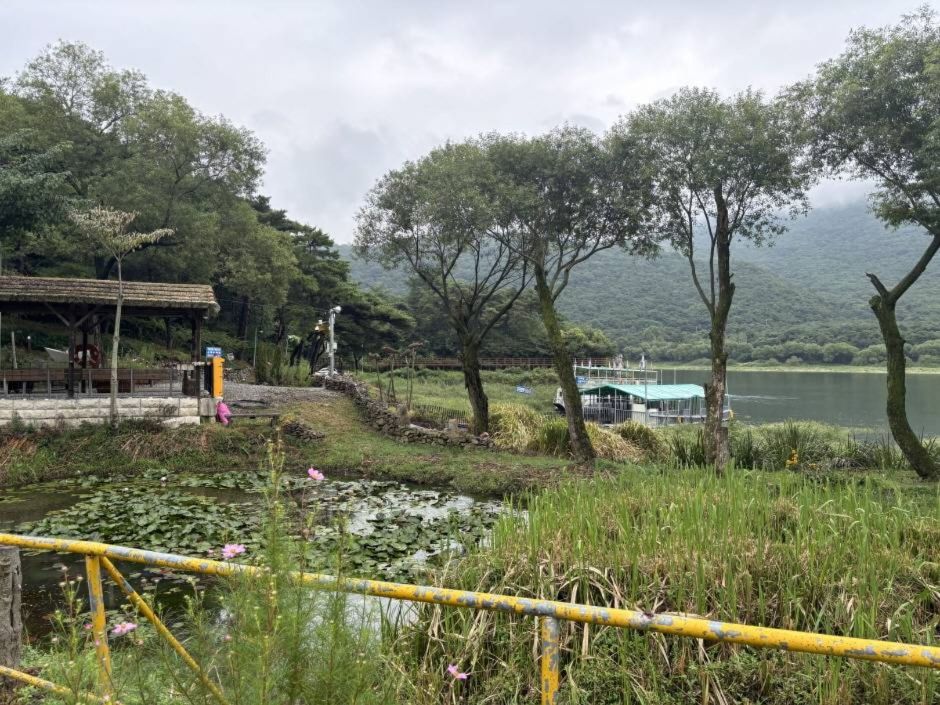 대운선박 여행 추천 - 메고지고 대운선박 여행 추천 - 메고지고