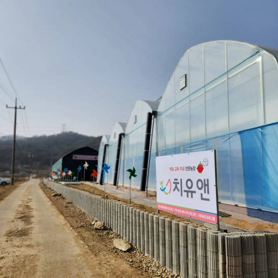치유앤 딸기 체험 농장 여행 추천 - 메고지고 치유앤 딸기 체험 농장 여행 추천 - 메고지고