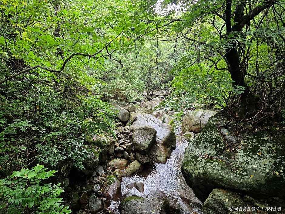 한신계곡 여행 추천 - 메고지고