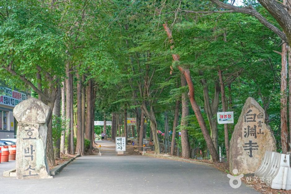 호박소계곡 여행 추천 - 메고지고 호박소계곡 여행 추천 - 메고지고