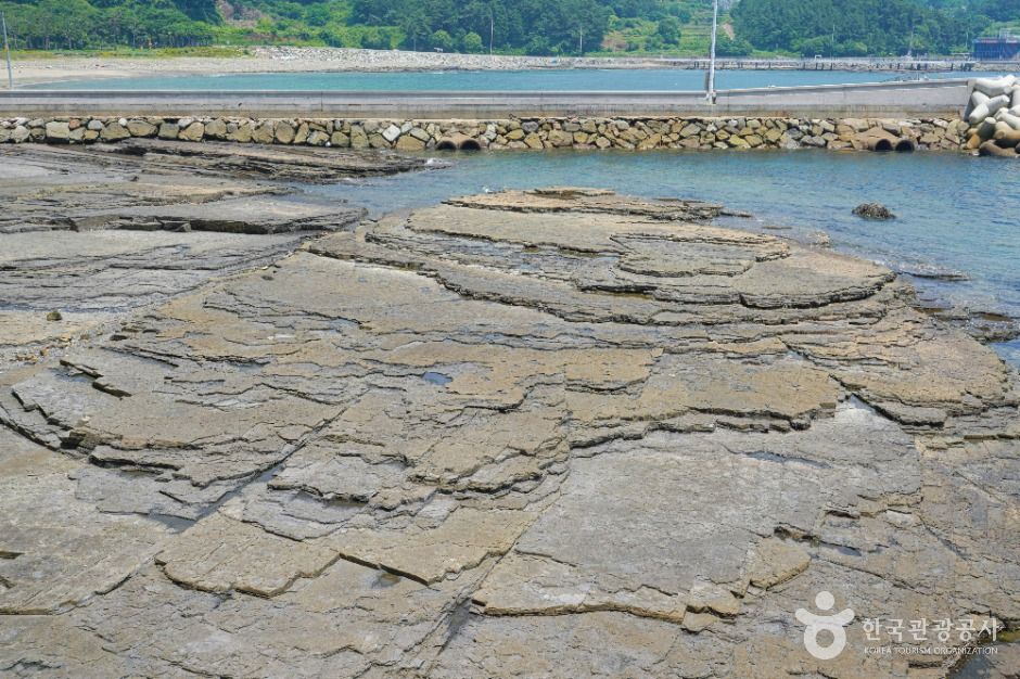 상족암군립공원 여행 추천 - 메고지고 상족암군립공원 여행 추천 - 메고지고