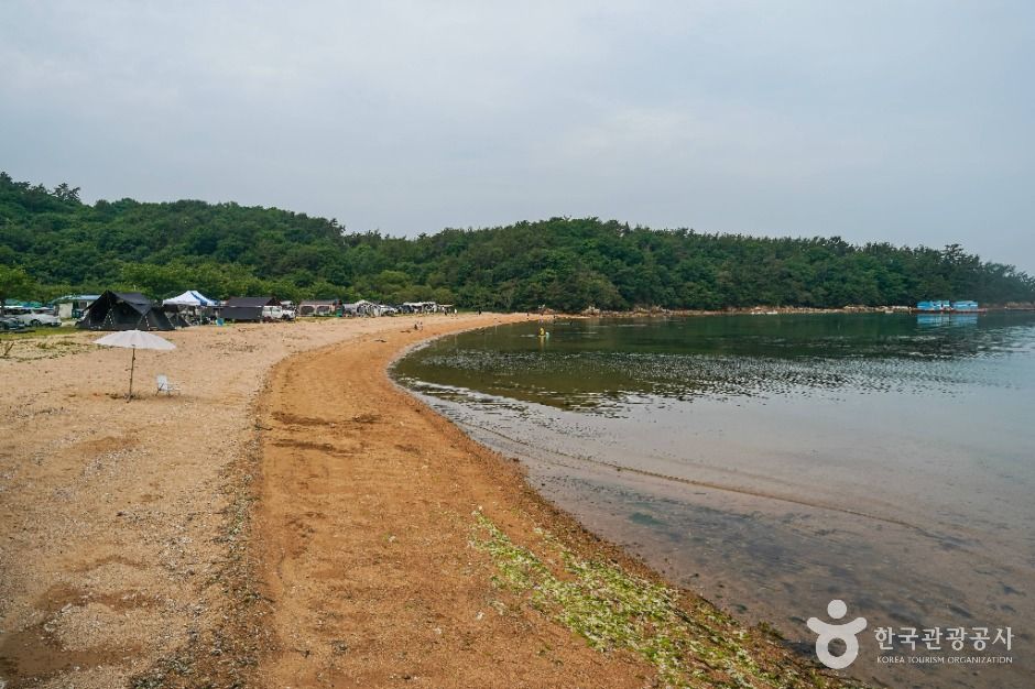 황포해수욕장 여행 추천 - 메고지고 황포해수욕장 여행 추천 - 메고지고