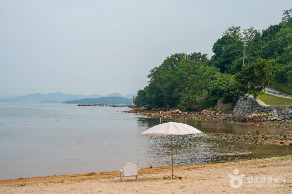 황포해수욕장 여행 추천 - 메고지고 황포해수욕장 여행 추천 - 메고지고