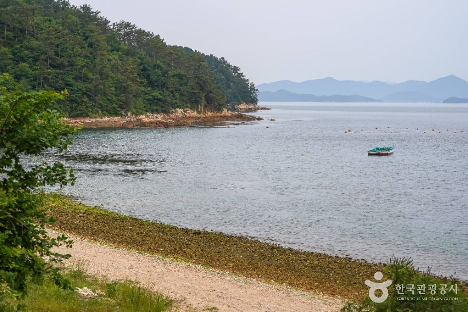 황포해수욕장 여행 추천 - 메고지고 황포해수욕장 여행 추천 - 메고지고