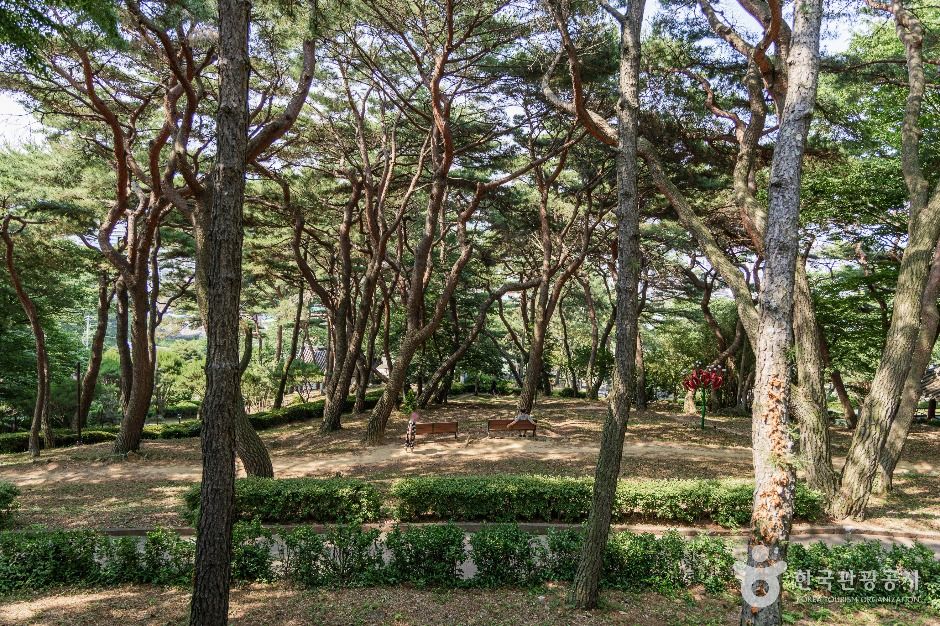 수양공원 여행 추천 - 메고지고 수양공원 여행 추천 - 메고지고