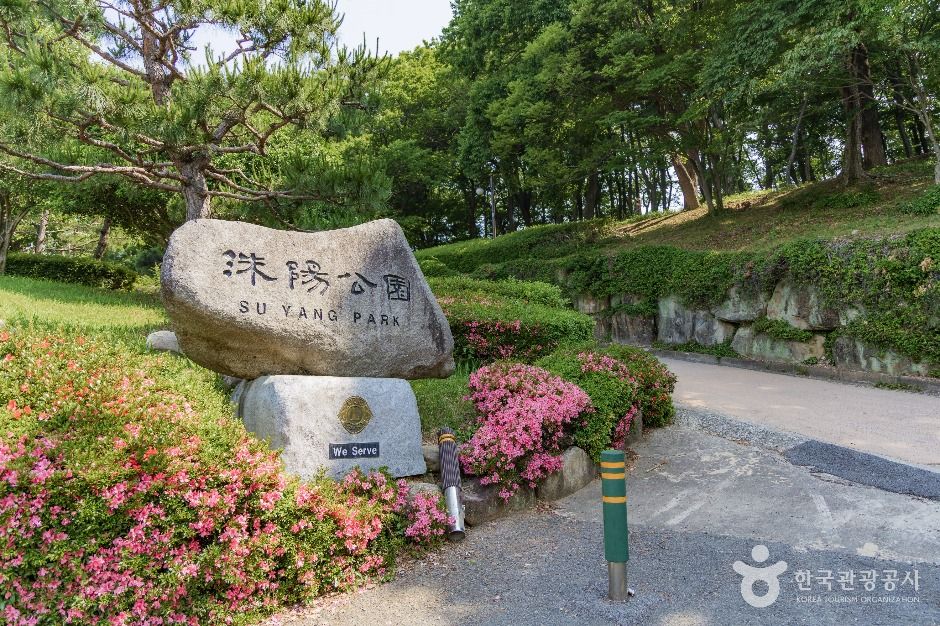 수양공원 여행 추천 - 메고지고 수양공원 여행 추천 - 메고지고