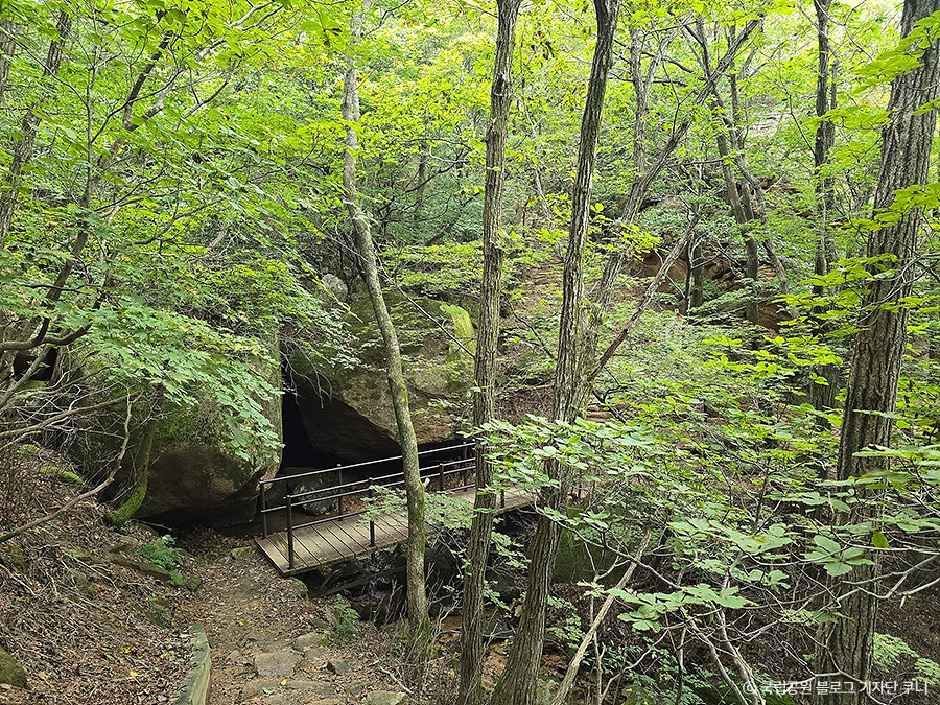 속리산국립공원(충북) 여행 추천 - 메고지고 속리산국립공원(충북) 여행 추천 - 메고지고