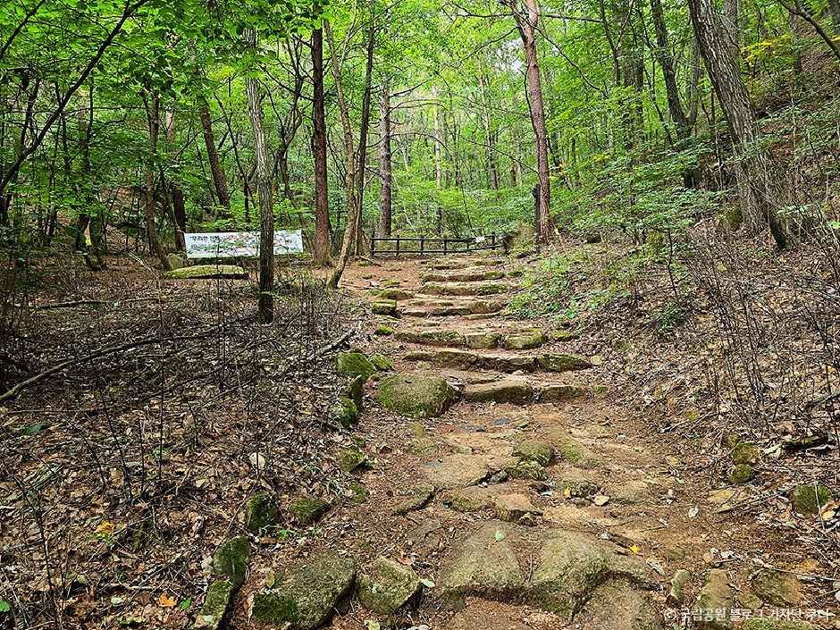 속리산국립공원(충북) 여행 추천 - 메고지고 속리산국립공원(충북) 여행 추천 - 메고지고