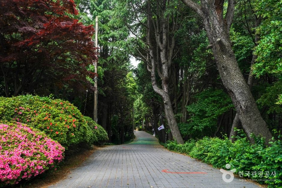 산호공원(용마공원) 시의거리 여행 추천 - 메고지고