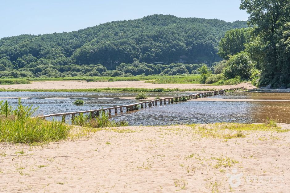무섬 외나무다리 여행 추천 - 메고지고 무섬 외나무다리 여행 추천 - 메고지고
