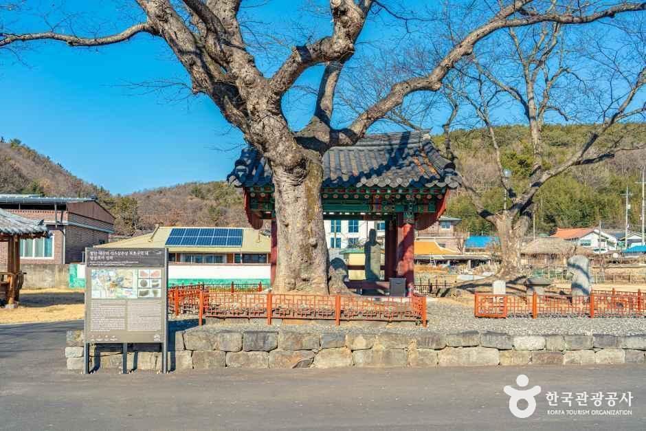 함안 대산리 석조삼존상 여행 추천 - 메고지고