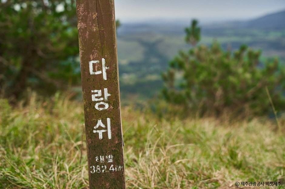 다랑쉬오름(월랑봉) 여행 추천 - 메고지고 다랑쉬오름(월랑봉) 여행 추천 - 메고지고