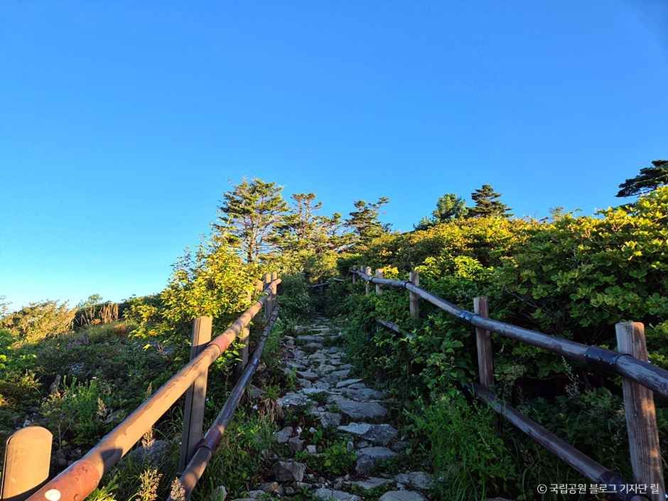지리산 반야봉 여행 추천 - 메고지고 지리산 반야봉 여행 추천 - 메고지고
