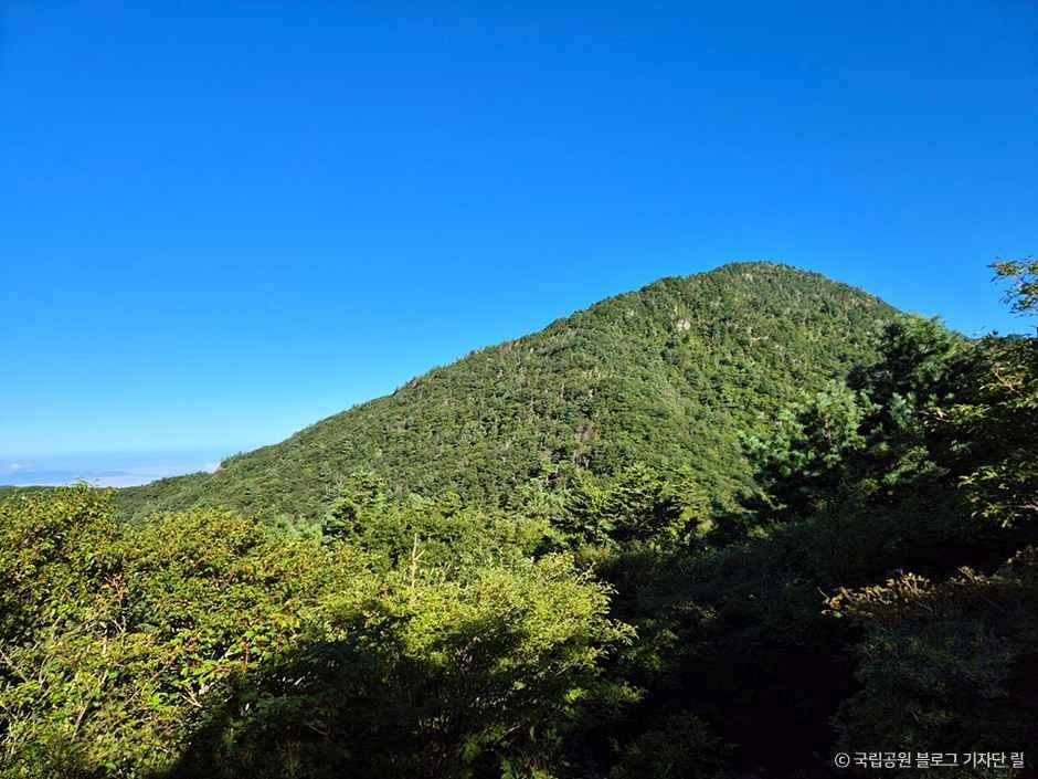 지리산 반야봉 여행 추천 - 메고지고 지리산 반야봉 여행 추천 - 메고지고