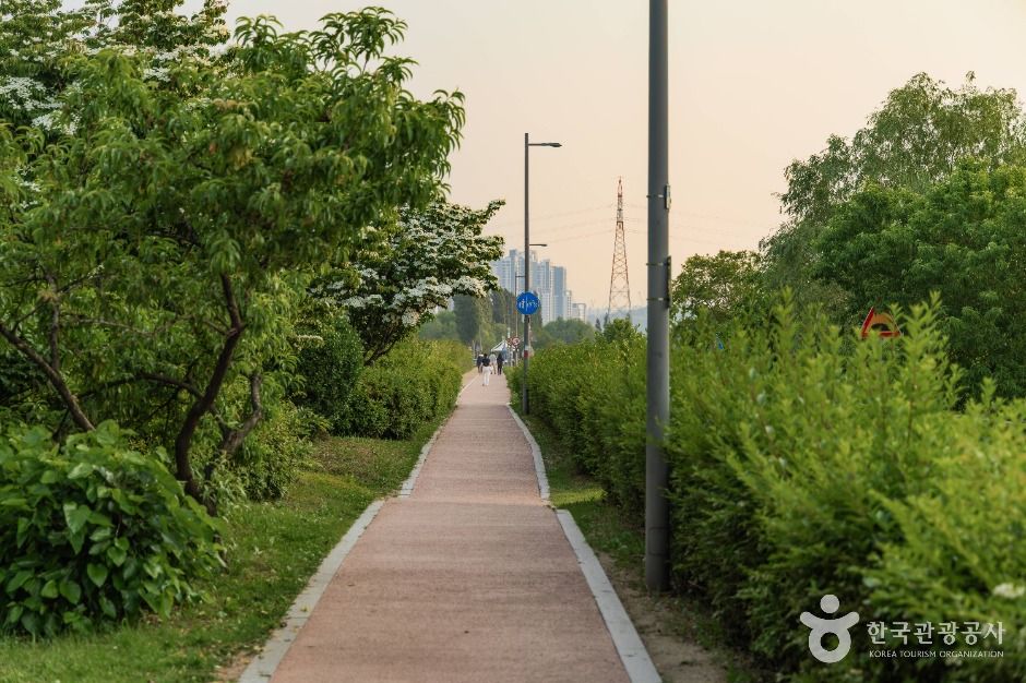 잠원한강공원 여행 추천 - 메고지고 잠원한강공원 여행 추천 - 메고지고