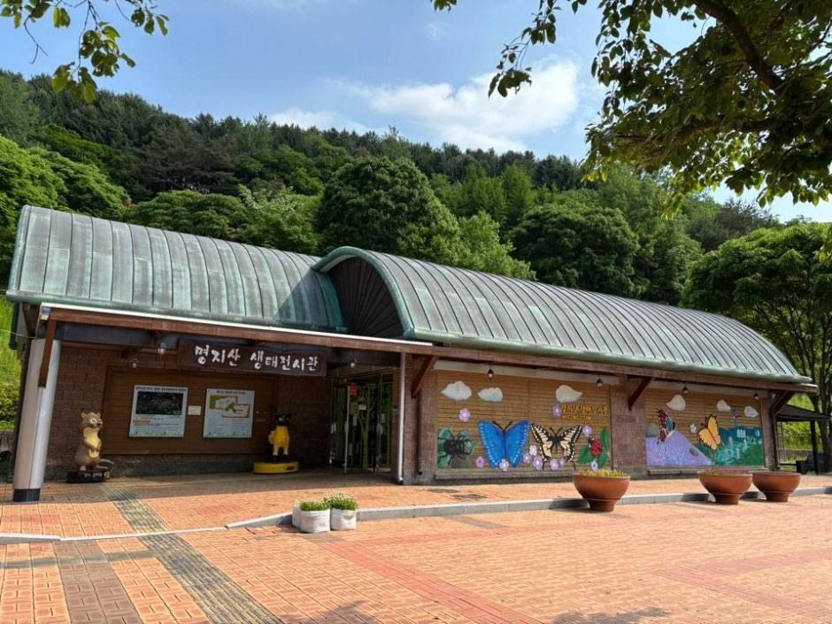 명지산생태전시관 여행 추천 - 메고지고 명지산생태전시관 여행 추천 - 메고지고