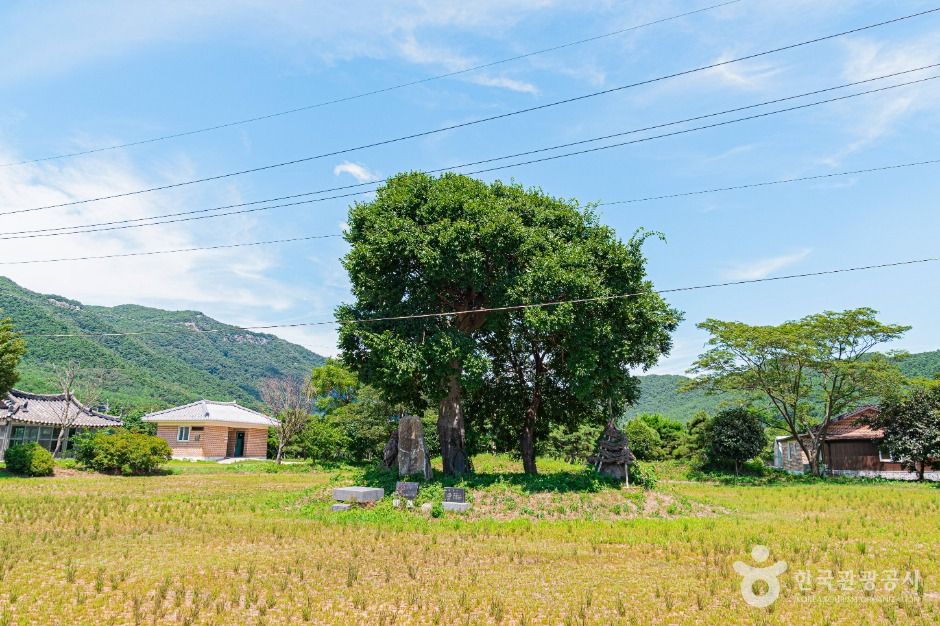 우동리당산 여행 추천 - 메고지고 우동리당산 여행 추천 - 메고지고