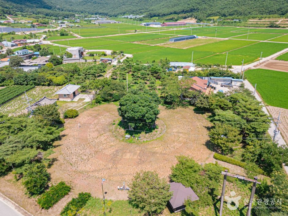 우동리당산 여행 추천 - 메고지고 우동리당산 여행 추천 - 메고지고