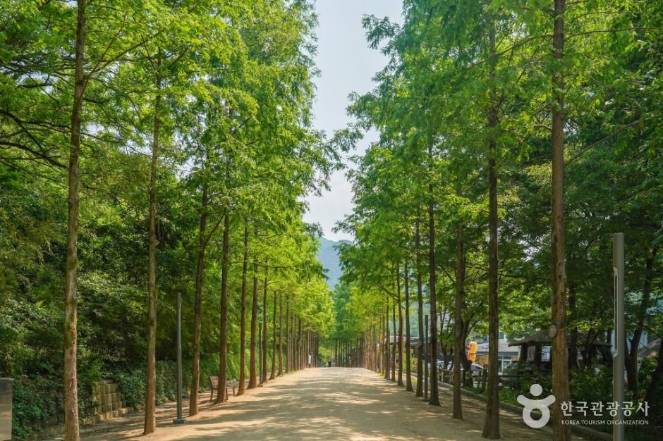 앞산자락길 여행 추천 - 메고지고 앞산자락길 여행 추천 - 메고지고