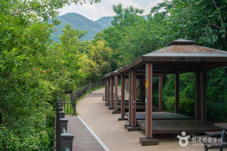 앞산자락길 여행 추천 - 메고지고 앞산자락길 여행 추천 - 메고지고