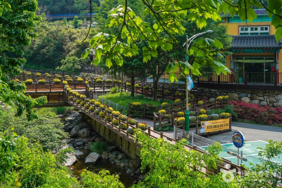 앞산자락길 여행 추천 - 메고지고 앞산자락길 여행 추천 - 메고지고