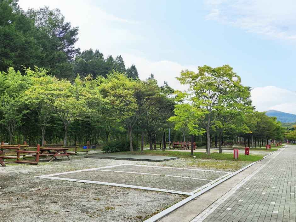 김천부항댐 산내들 오토캠핑장 여행 추천 - 메고지고
