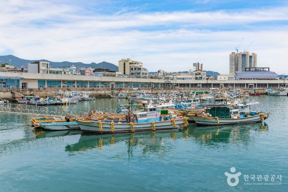 삼천포항 여행 추천 - 메고지고