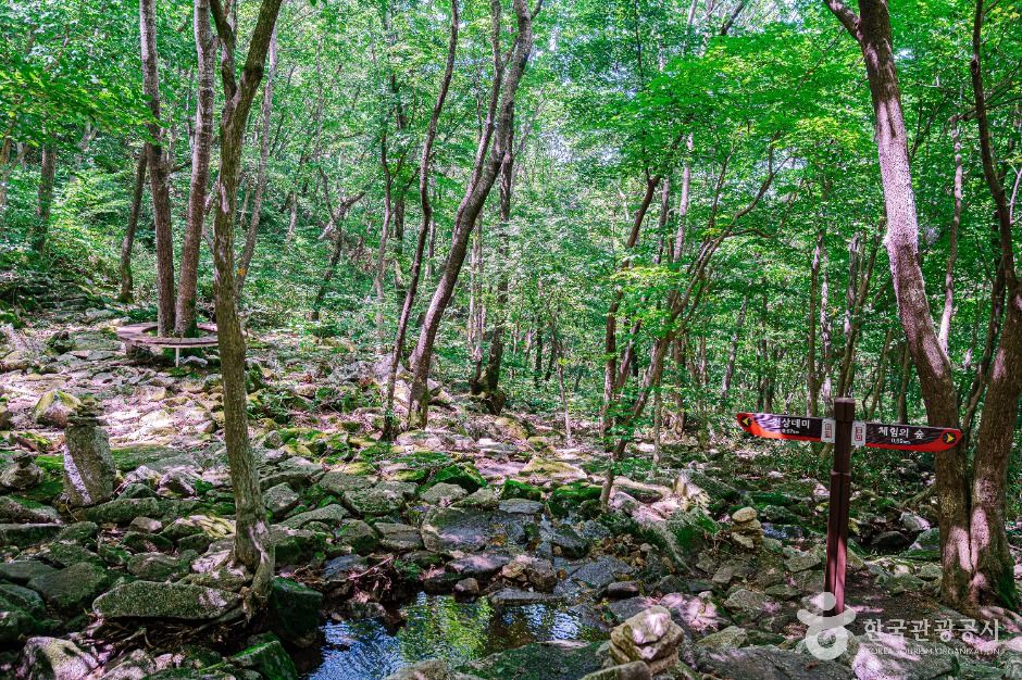 데미샘 여행 추천 - 메고지고