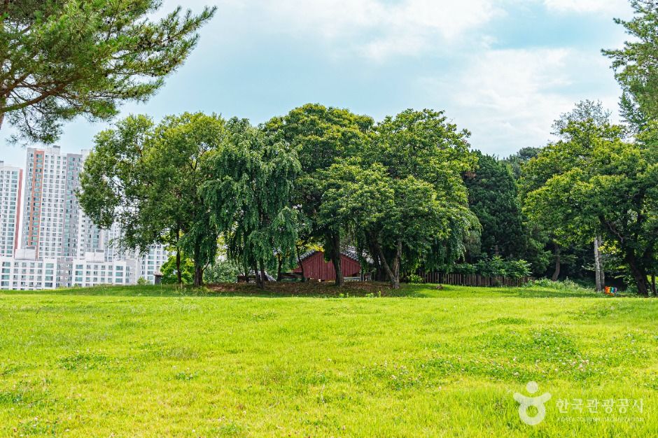 송산사지근린공원 여행 추천 - 메고지고 송산사지근린공원 여행 추천 - 메고지고