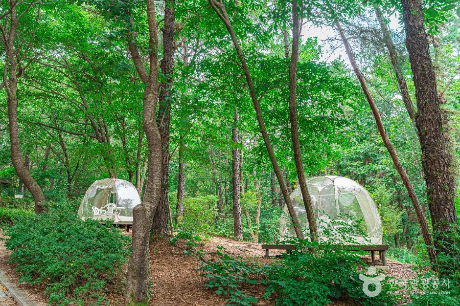 직동 근린공원 여행 추천 - 메고지고 직동 근린공원 여행 추천 - 메고지고