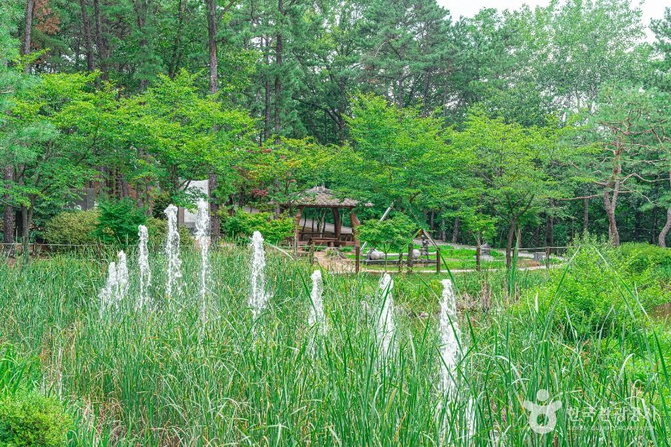 직동 근린공원 여행 추천 - 메고지고 직동 근린공원 여행 추천 - 메고지고