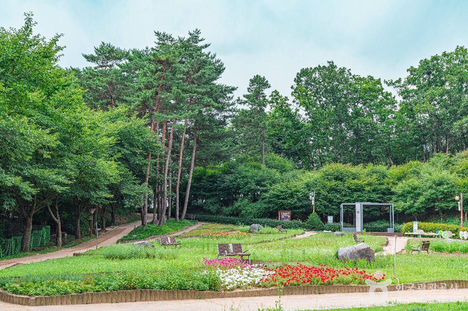 직동 근린공원 여행 추천 - 메고지고 직동 근린공원 여행 추천 - 메고지고