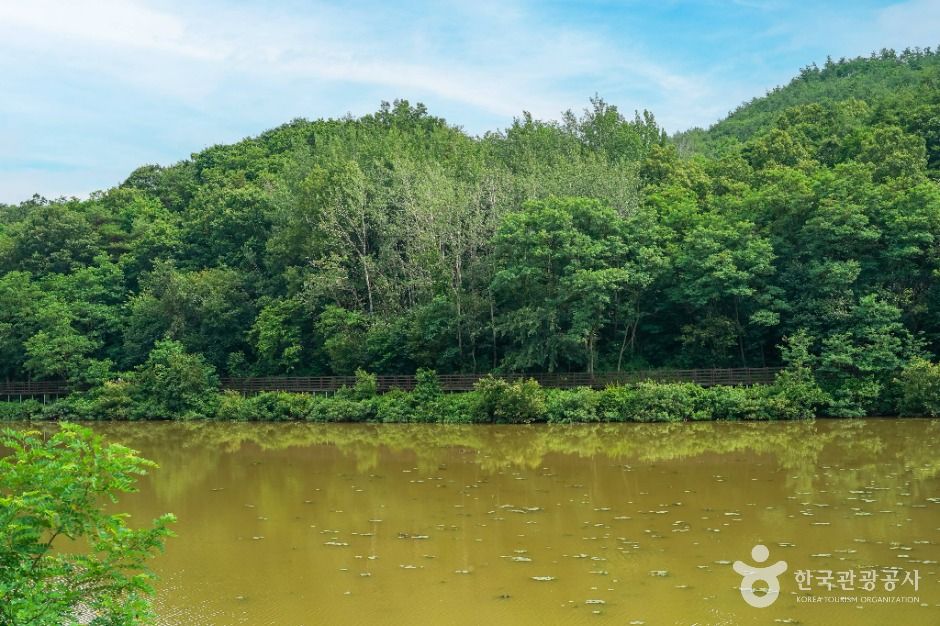 창평지 친환경 생태공원 여행 추천 - 메고지고 창평지 친환경 생태공원 여행 추천 - 메고지고