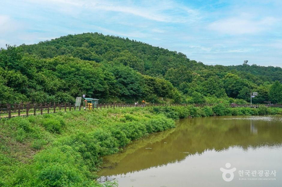 창평지 친환경 생태공원 여행 추천 - 메고지고 창평지 친환경 생태공원 여행 추천 - 메고지고