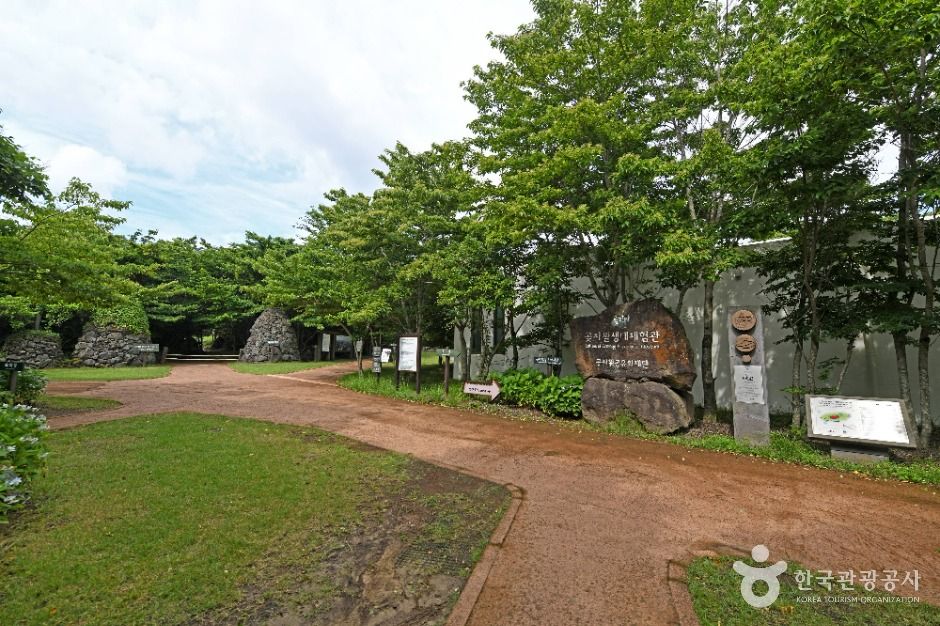 제주 교래자연휴양림 여행 추천 - 메고지고 제주 교래자연휴양림 여행 추천 - 메고지고