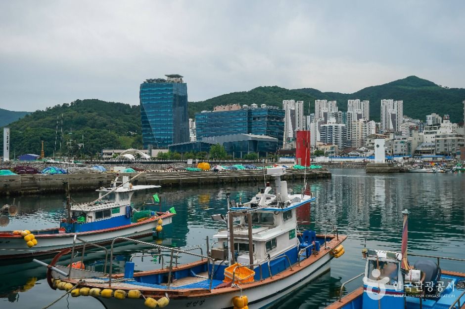 옥포항 여행 추천 - 메고지고 옥포항 여행 추천 - 메고지고